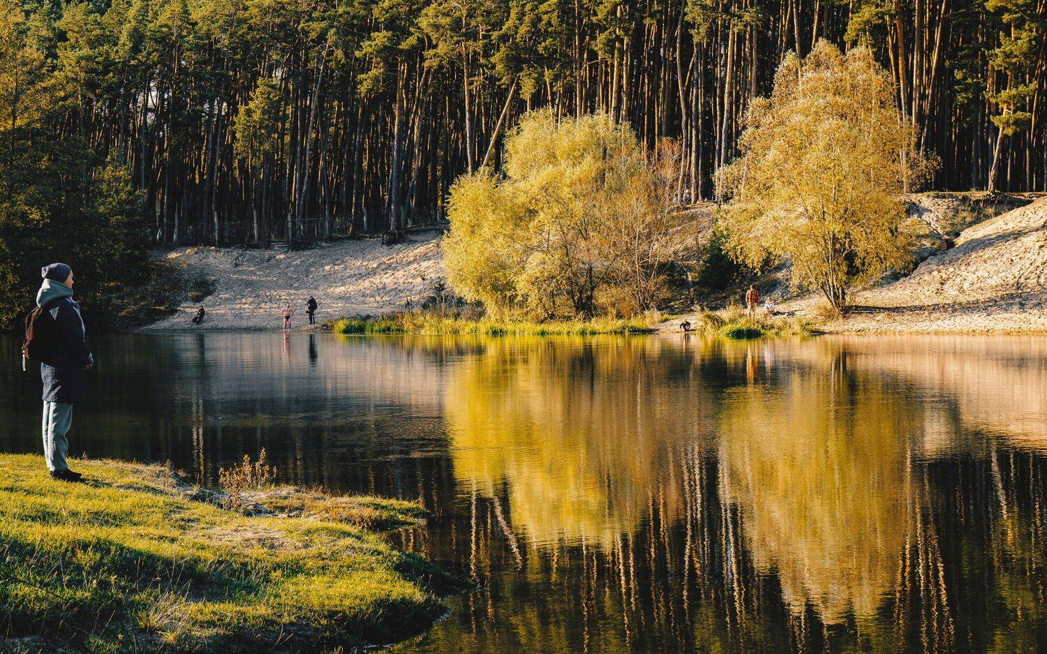 , Юрий Вертиков