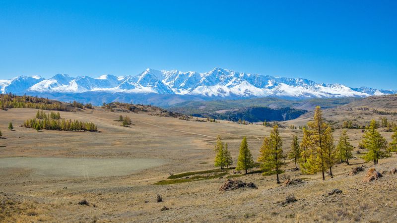 пейзаж, осень, горы, Горный Алтай  Осенние краски Горного Алтая photo preview