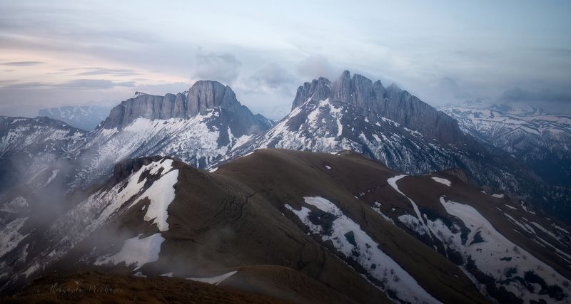 wildlife За туманами фото превью