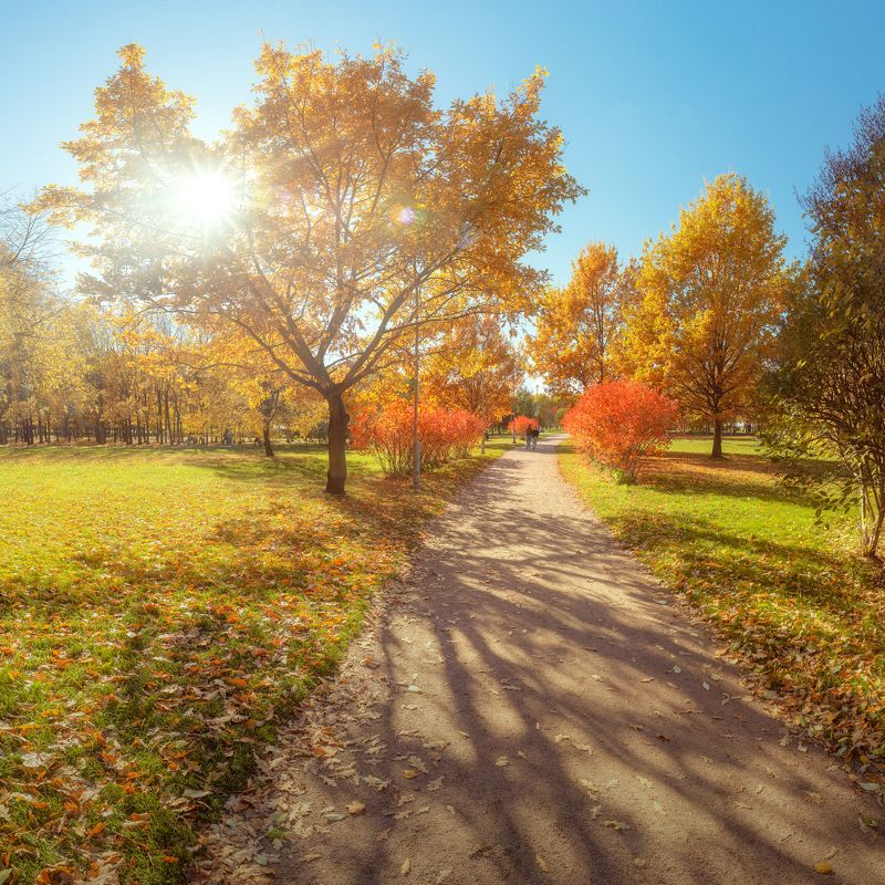 питер, санкт-петербург, осень ***photo preview