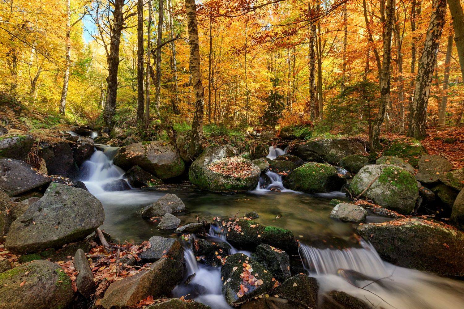 Oктябрь Z. Автор: Александър Сандев , Александър Сандев