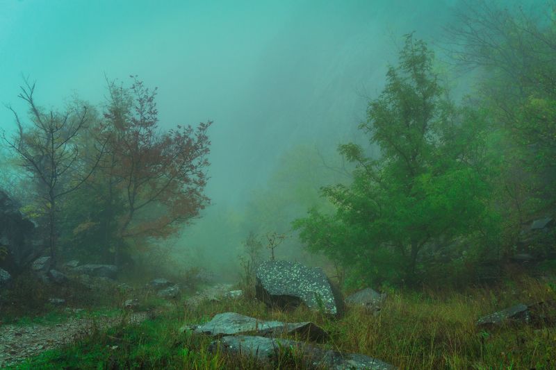 туман, кмв, змейка, минеральные воды Осенний бегphoto preview