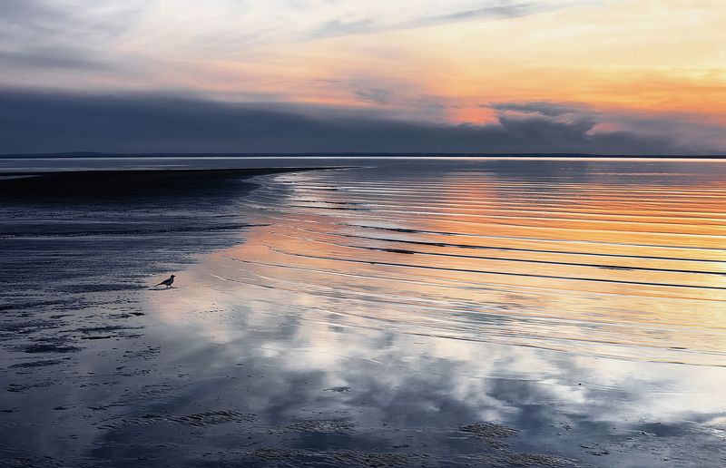 Прощаясь с закатом...photo preview