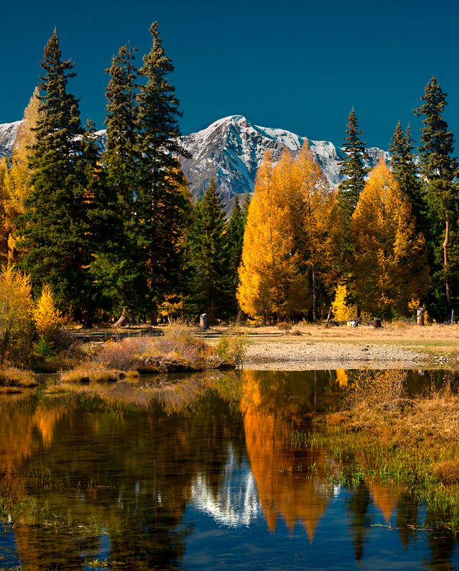 Осень на Алтаеphoto preview