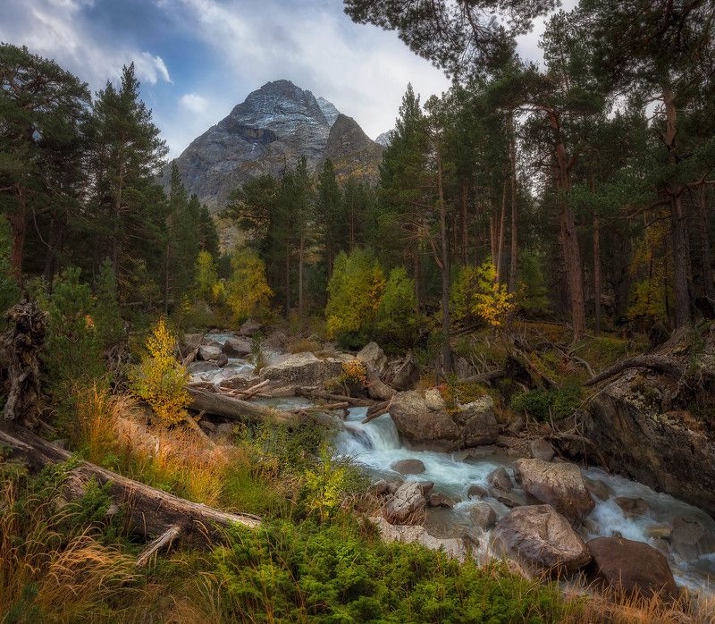 вода, горы, облака, река, кчр, лес Золотая осень Карачаево-Черкесииphoto preview