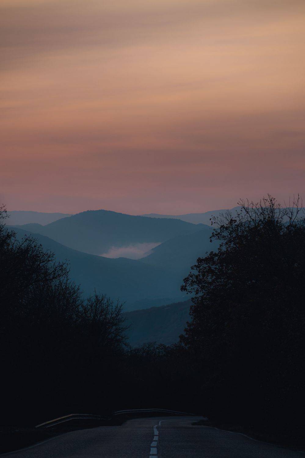 , Золкин Богдан