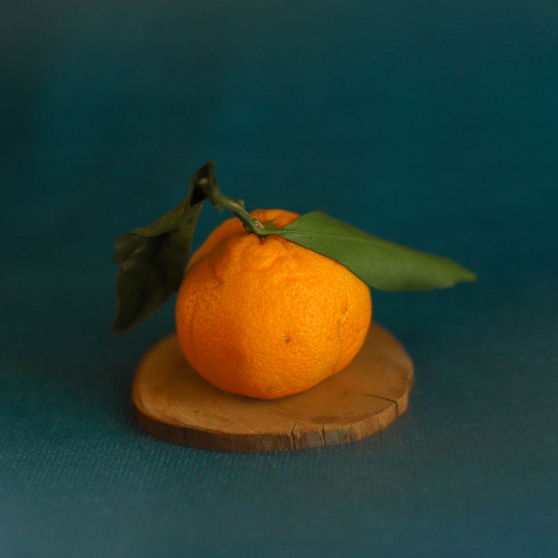 Мандаринphoto preview