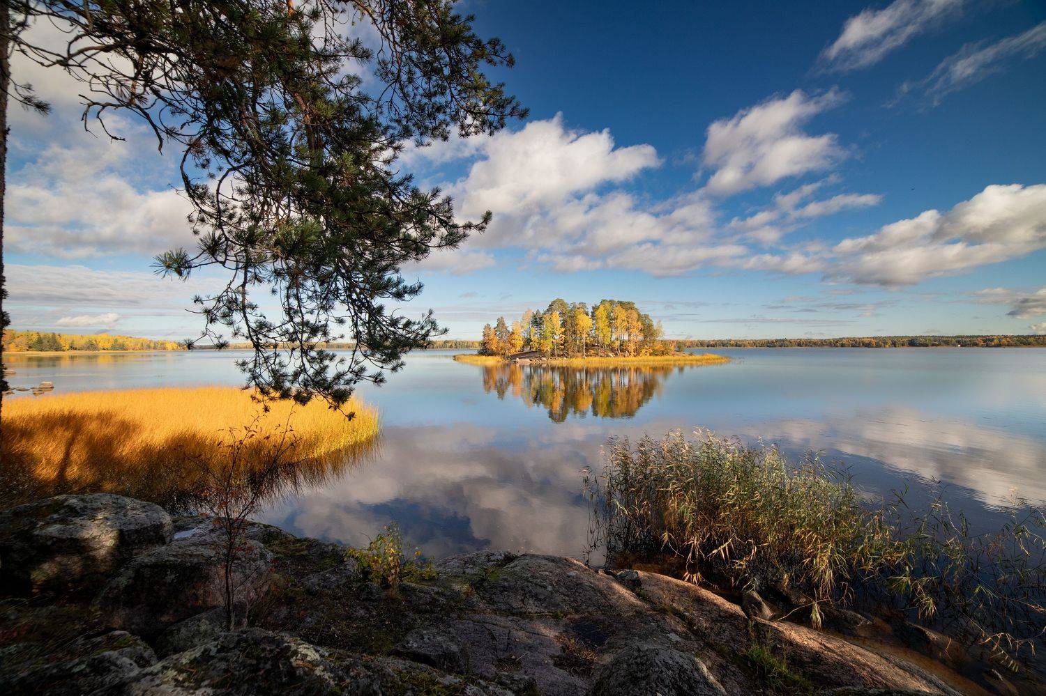 , Герасимова Елена