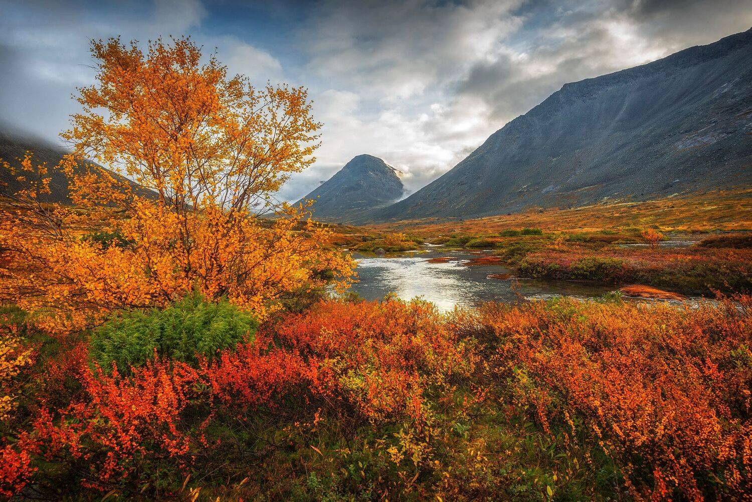 Осень в Хибинах. Автор: Владимир Брагилевский , Владимир Брагилевский