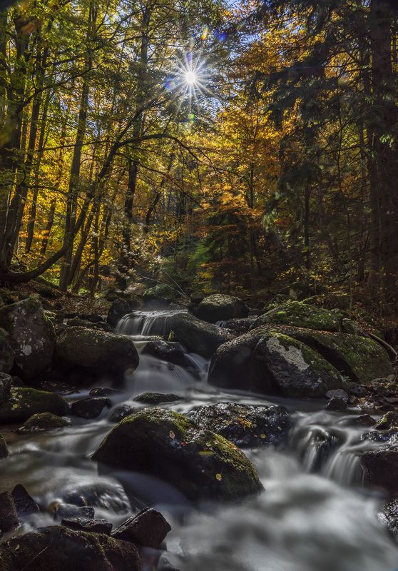 landscape nature vertical hiking river The colors of Autumnphoto preview