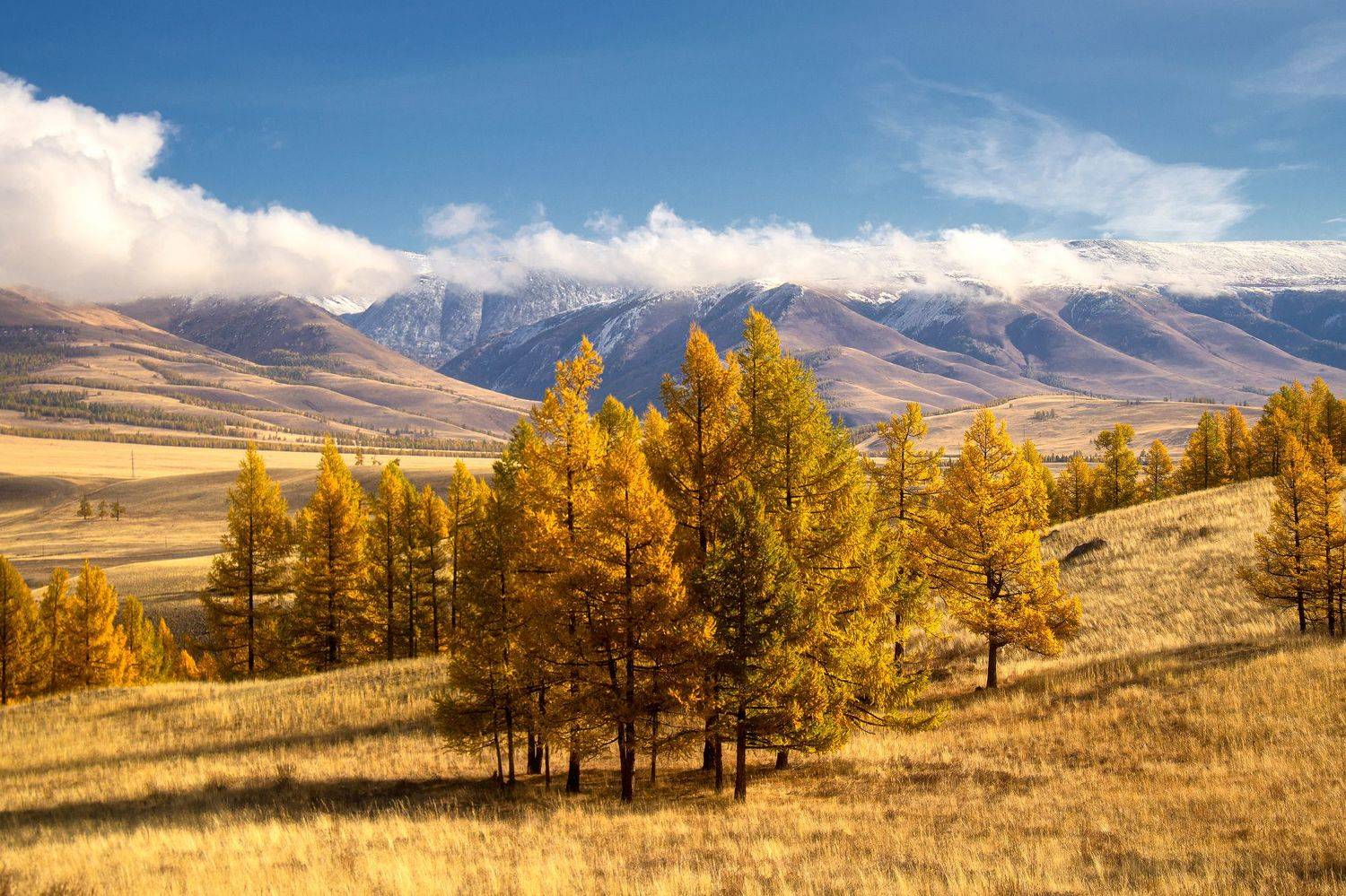 Автор: Юрий Столыпин , Юрий Столыпин