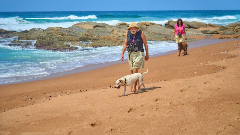 Африканский Робинзон. (ЮАР) фото превью