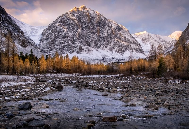 горный алтай, нд, актру, караташ, алтай, ак-туру, долина, альплагерь, кара-таш, караташ, осень, что такое осень?, осень на алтае, республика алтай, фототур на алтай, долина актру, золотой алтай нд, золотой алтай Утро в Актруphoto preview