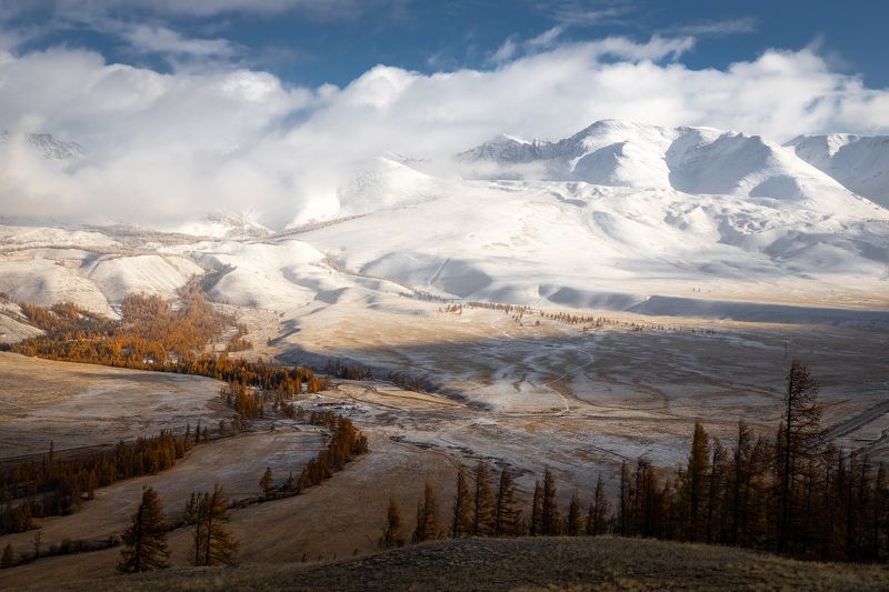 алтай Перед белым безмолвиемphoto preview