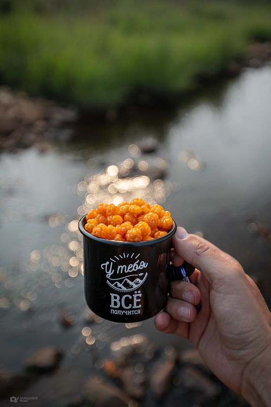 Якутия, дальний восток, княженика, болотный янтарь, морошка, царская ягода,  Княженикаphoto preview