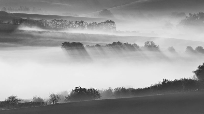 Morningphoto preview