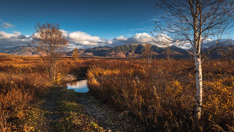 природа камчатского края,ганальская тундра ...photo preview