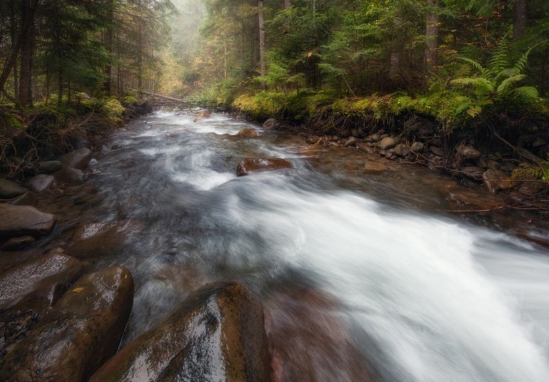 крпаты Потокphoto preview