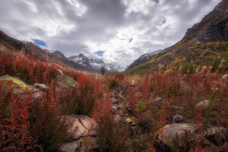 горы, золотая осень Красно-желтые дни в ущелье Чиринколphoto preview