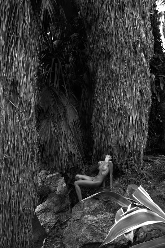 patreon.com/winderwindphoto preview