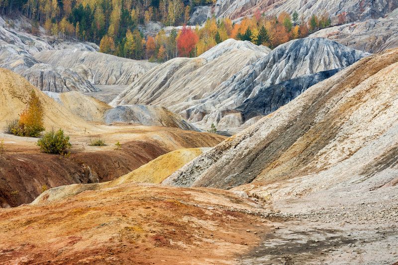 *******photo preview