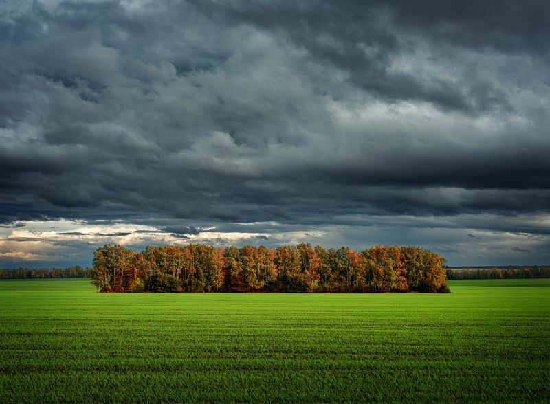 Про осенние контрасты.photo preview