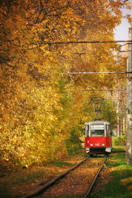 8 трамвайphoto preview