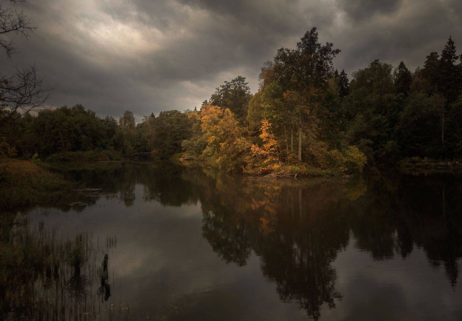 осень, озеро, лес, свет, Ольга Унчикова