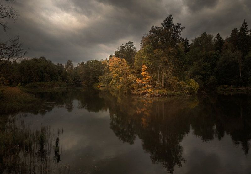 осень, озеро, лес, свет photo preview