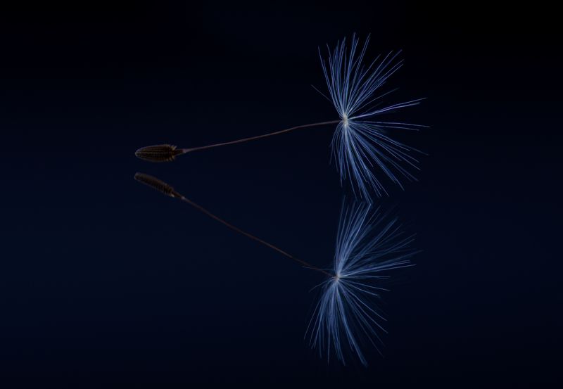 Воздухphoto preview