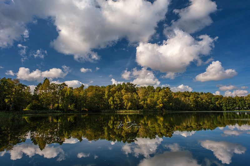 Ватные облакаphoto preview