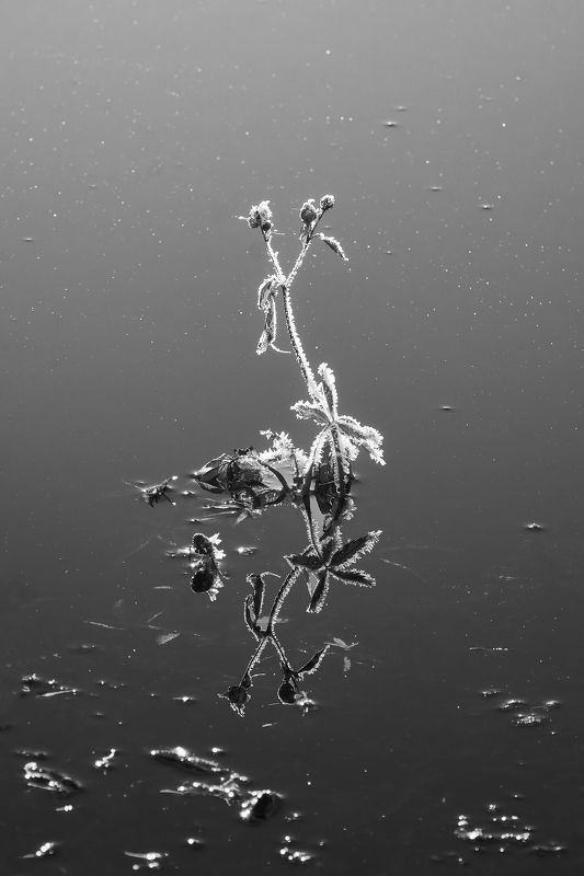 Отражение…photo preview