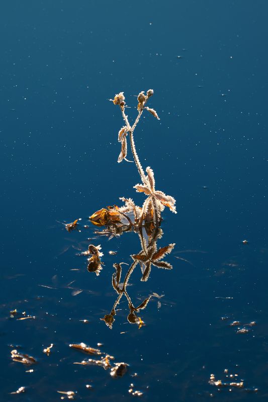 Отражение…photo preview