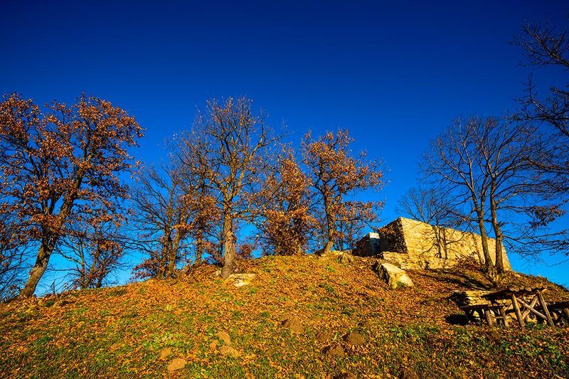 autumn, blue, landscape, leaf, leaves, nature, photography, sky, skies, tree, trees, Осеннее небо такое голубое/Autumn Skies Are So Bluephoto preview