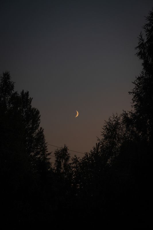 Ночь в деревнеphoto preview