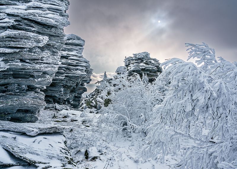 Уреньга, ноябрь, Южный Урал, Урал, Челябинская область На Уреньгеphoto preview