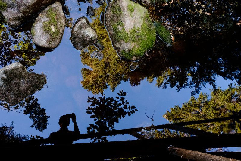 лес, ручей, В лесуphoto preview