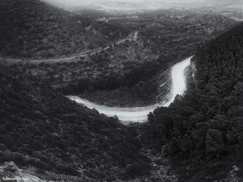 black and white, bnw, road, film, fine art, monochrome, way, trees, forest, blure, focus, Zig Zag roadphoto preview