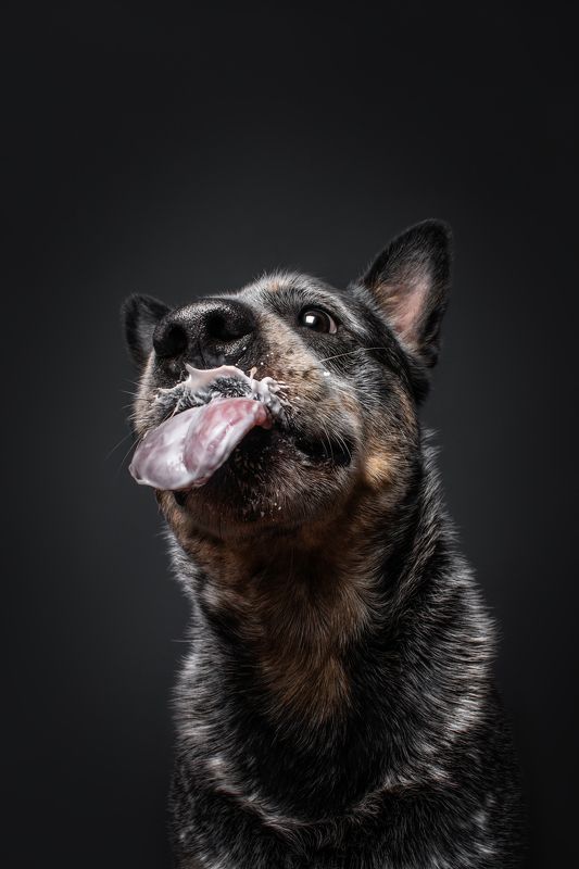 Когда в баночке чуток осталось йогурта :)photo preview