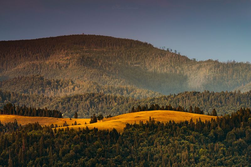 carpathians, clearing, forest, karpaty, landscape, mountains, mountainscape, pieniny, plants, poland, polska, sky, trees, warm, watchtower, radziejowa, lookout tower, radziejowa, jarmuta, stary wierch The Bald and the Hattersphoto preview