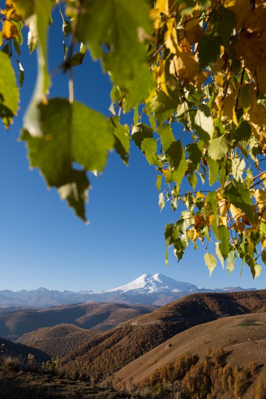 Портфолиоphoto preview