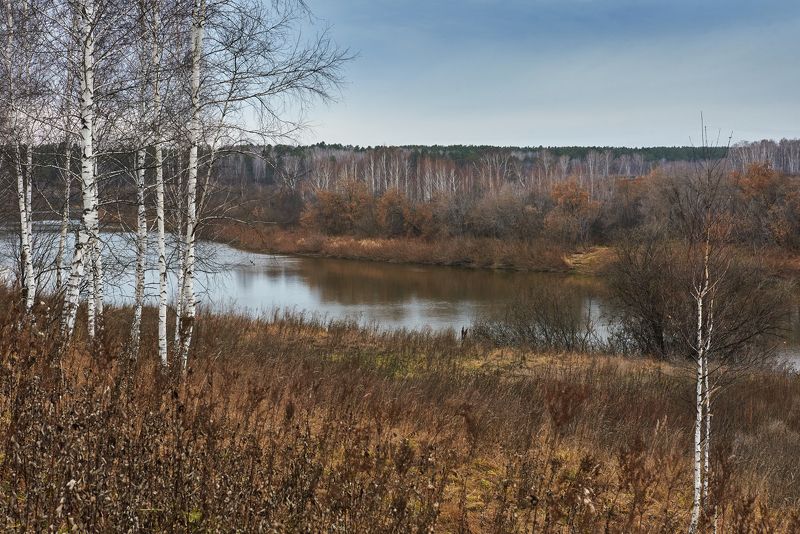 Безыскусные краски поздней осениphoto preview