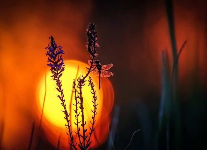 Завтра будет новый деньphoto preview