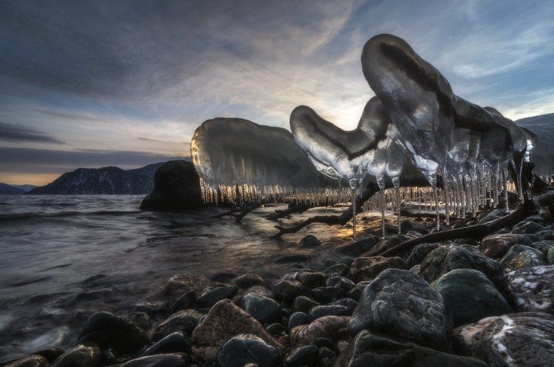 Алтай, Алтайский заповедник, Телецкое озеро Льды Телецкого озера.photo preview