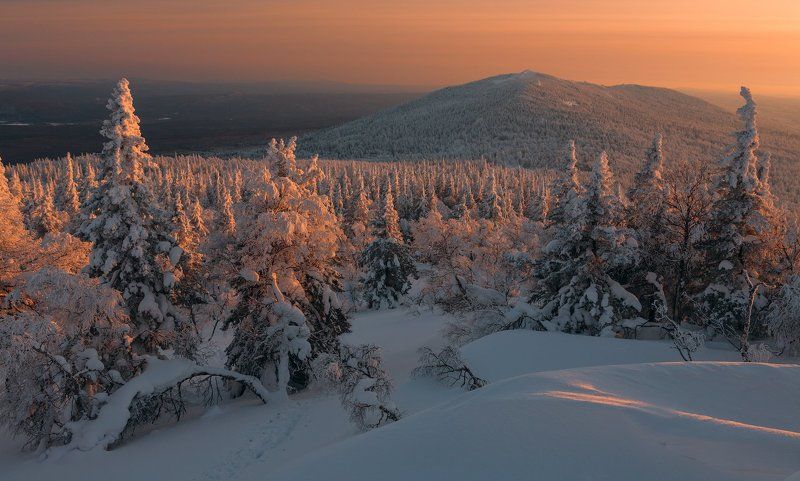 Дикие тропы Уралаphoto preview