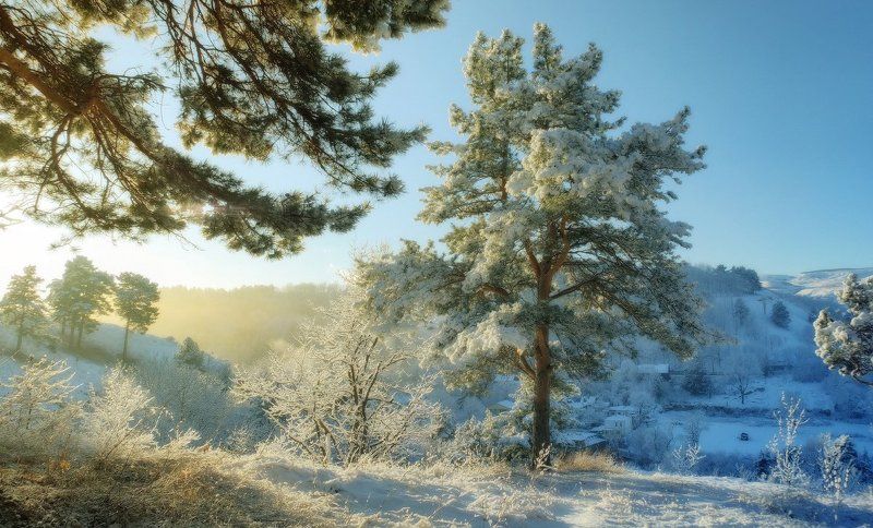 *** фото превью