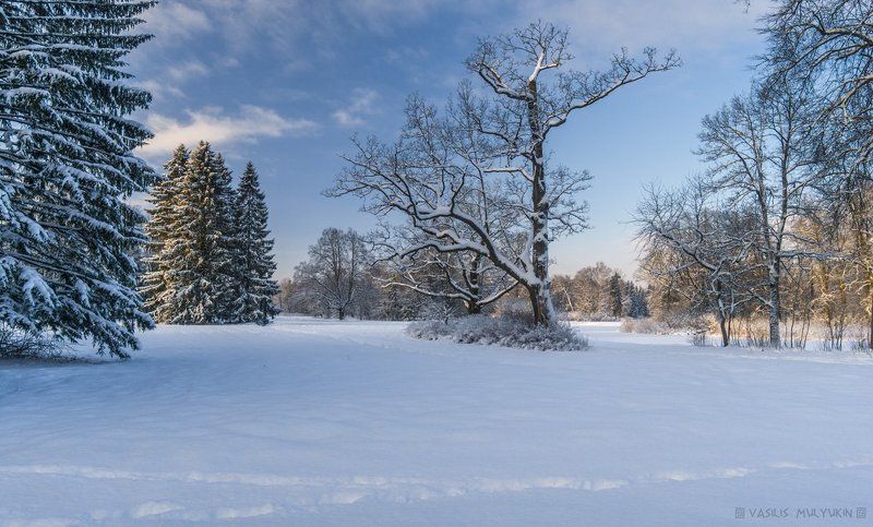 В Павловском парке ...photo preview