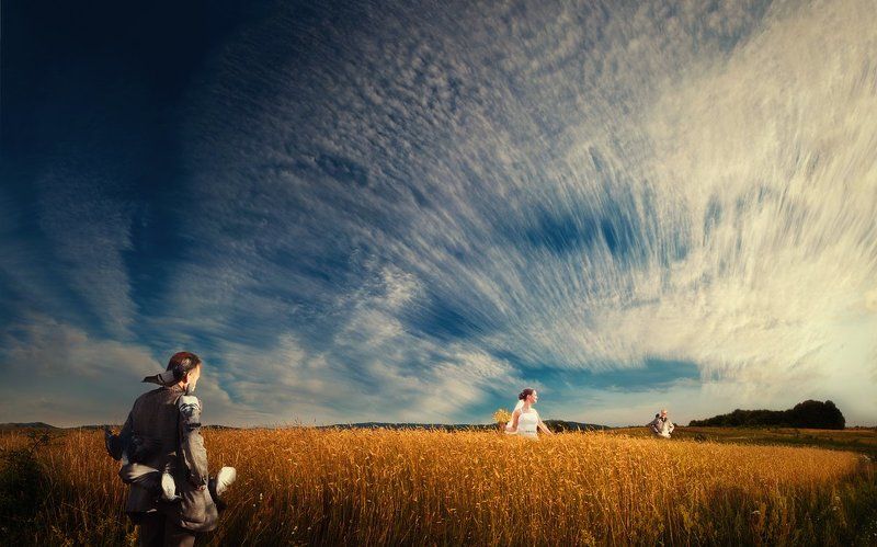 .....Harvest.....photo preview