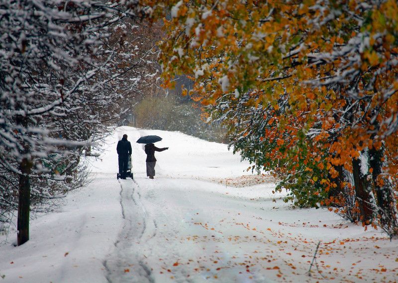 Прогулка из осени в зиму.photo preview