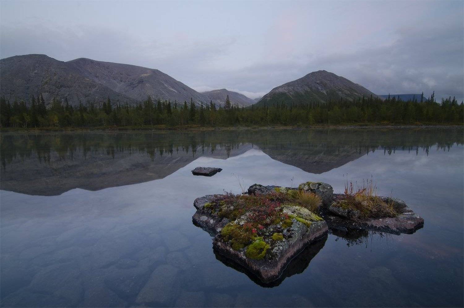 перед сном. Автор: Юсупов Александр , Юсупов Александр